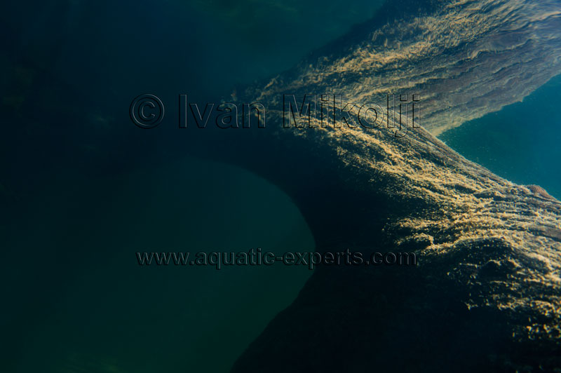 real aquarium backgrounds